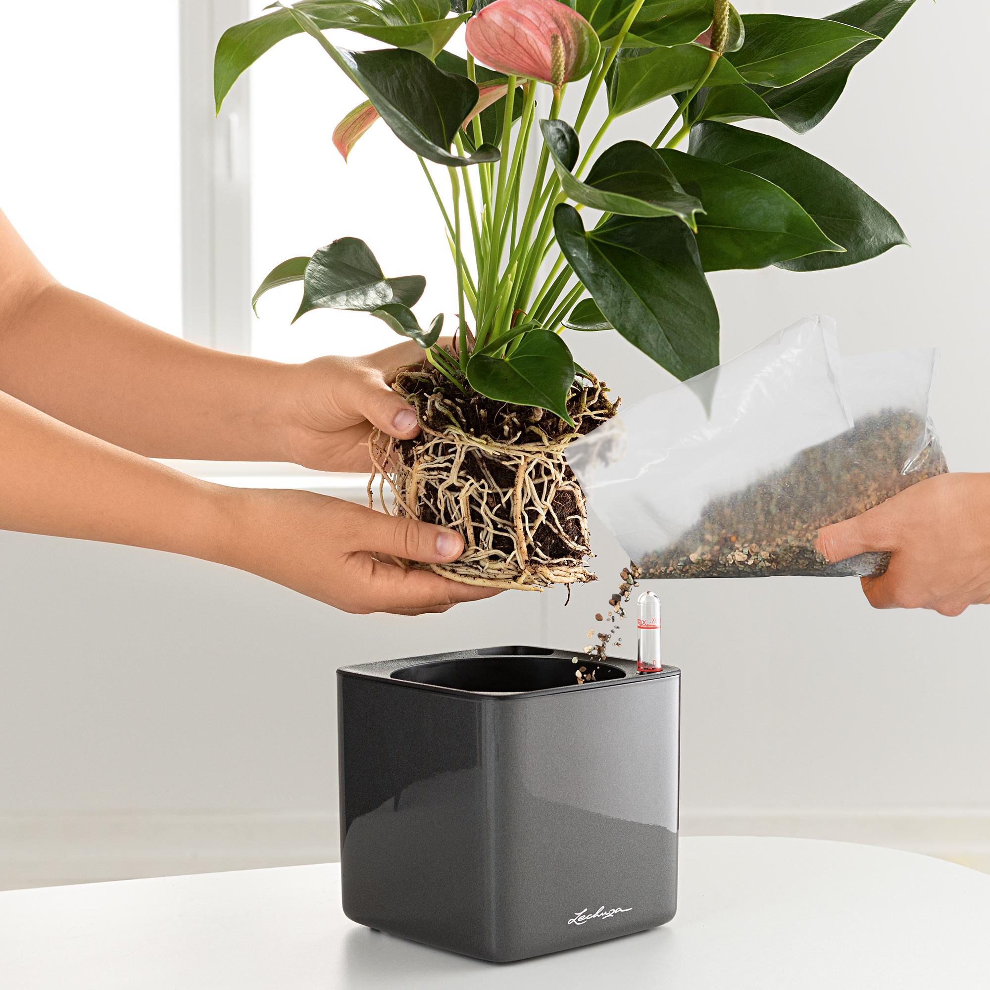 le_pflanzplatte-sticksystem_product_addi_03